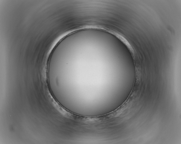 X0000110871148200907021431