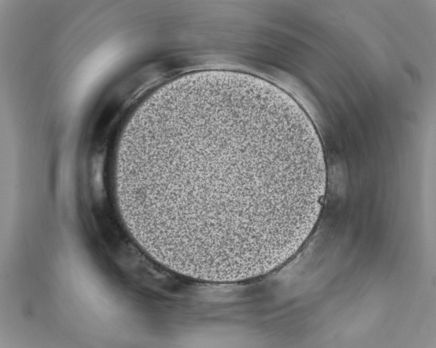 X0000110871150200907021431