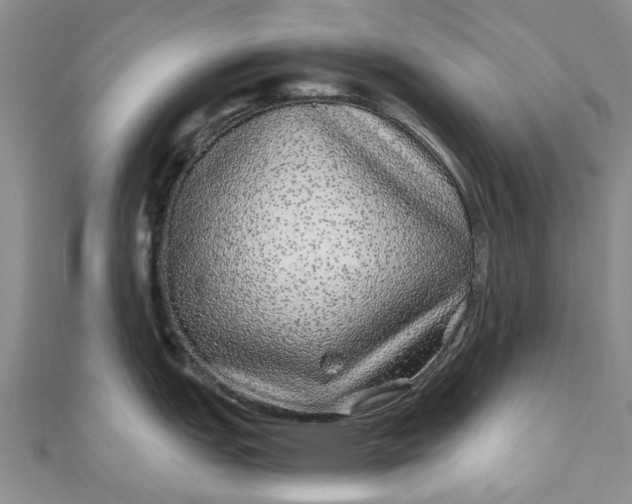 X0000110871151200907021431