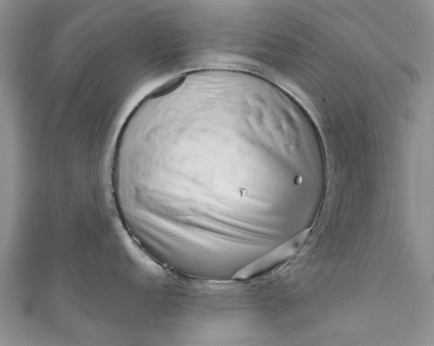 X0000110871152200907021431