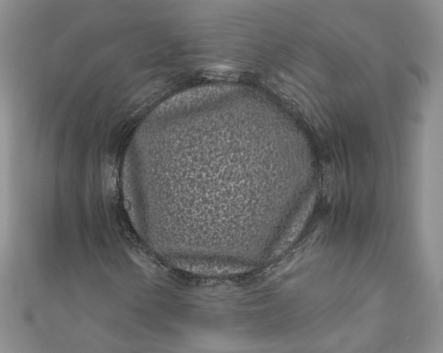 X0000110871154200907021430