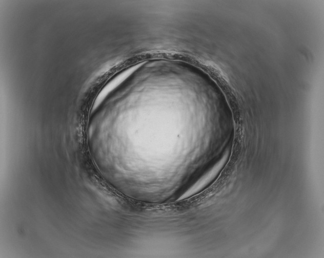 X0000110871159200907021430