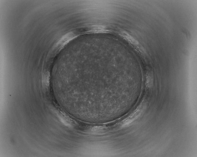 X0000110871161200907021430