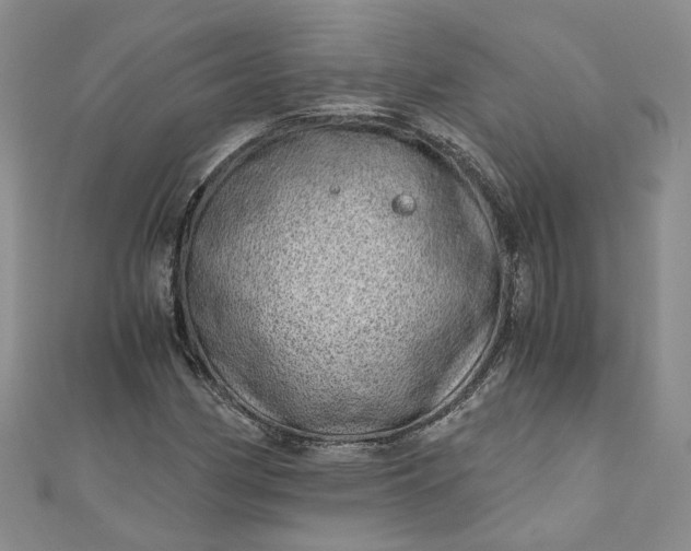 X0000110871162200907021430