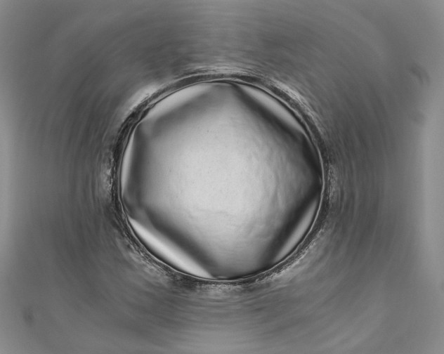 X0000110871163200907021430