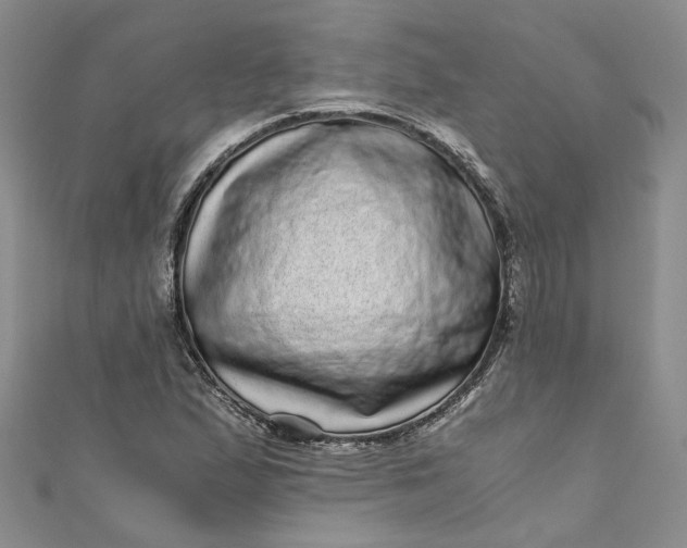 X0000110871167200907021430