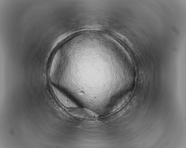 X0000110871168200907021430