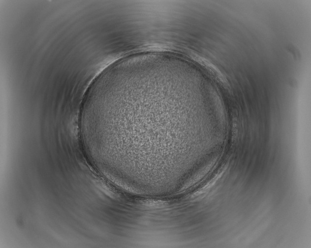 X0000110871170200907021430