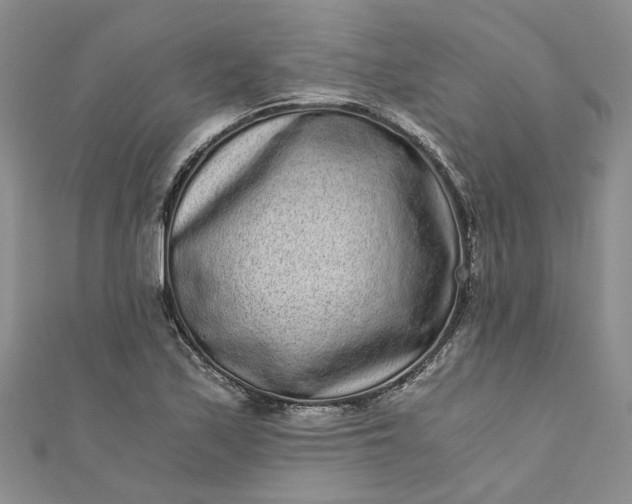 X0000110871171200907021430