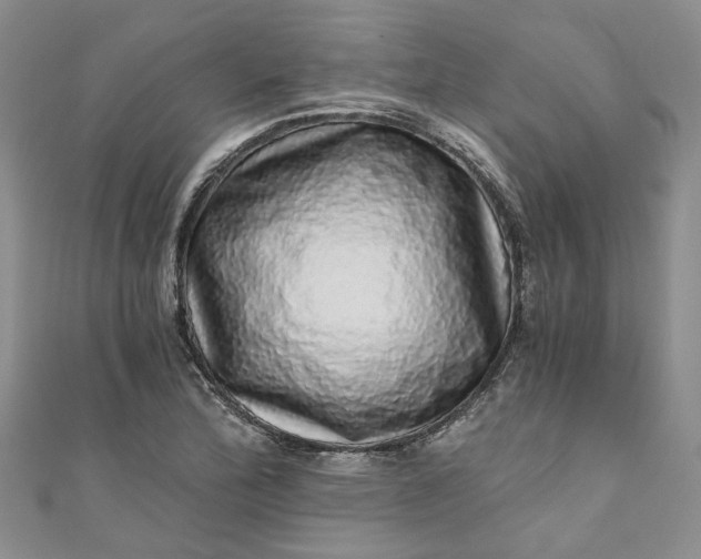 X0000110871172200907021430