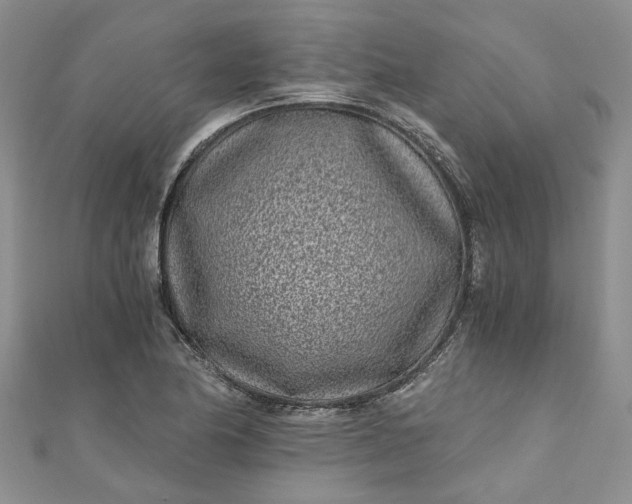 X0000110871174200907021430