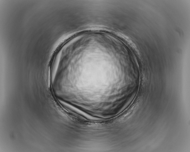 X0000110871175200907021430