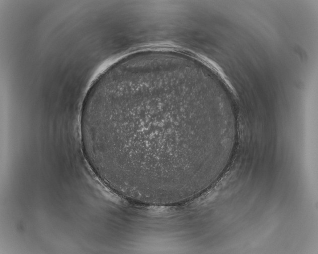 X0000110871176200907021430