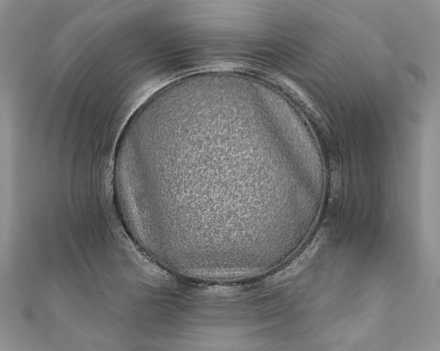 X0000110871178200907021430