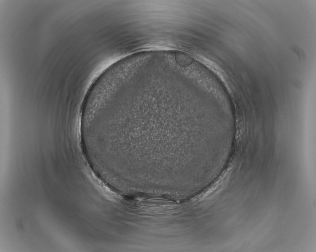 X0000110871179200907021430