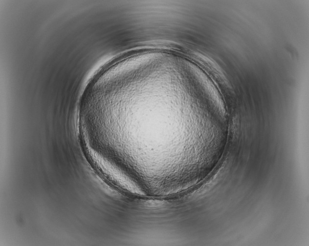 X0000110871180200907021430