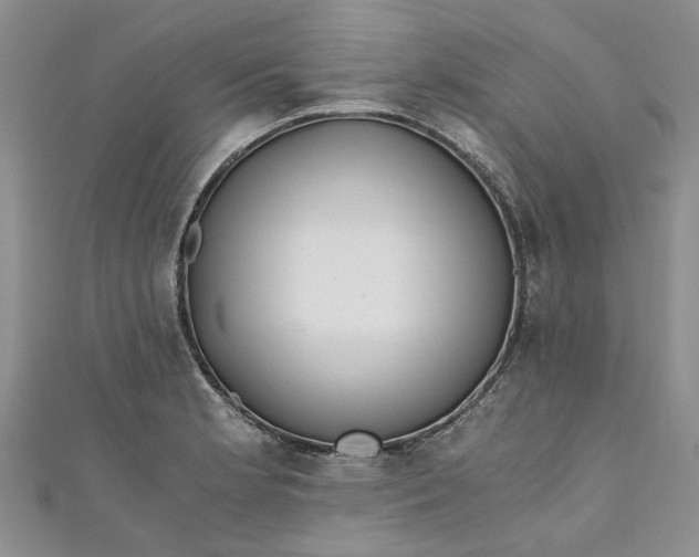 X0000110871181200907021430