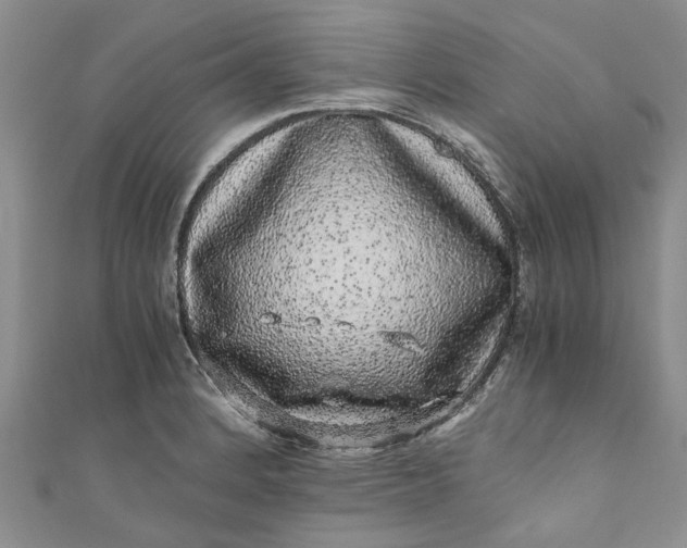 X0000110871184200907021430