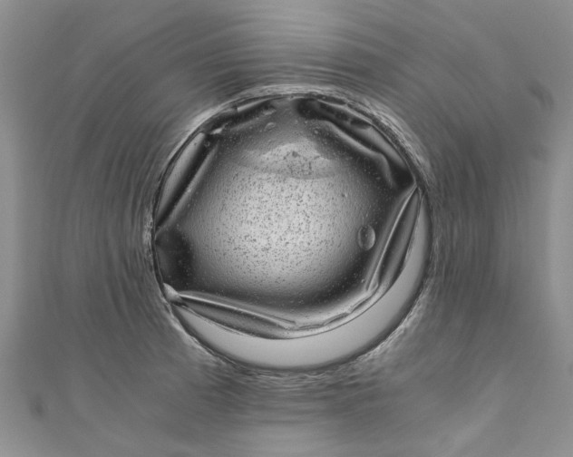 X0000110871185200907021430