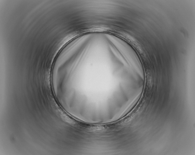 X0000110871186200907021430