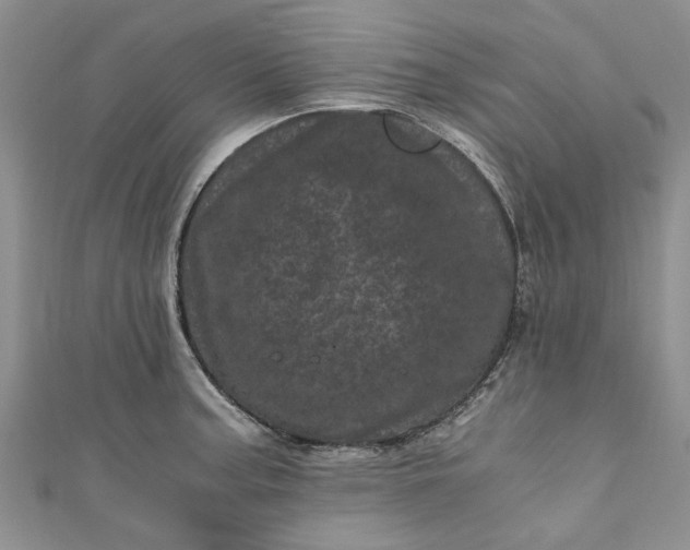 X0000110871187200907021430