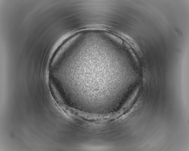 X0000110871188200907021430