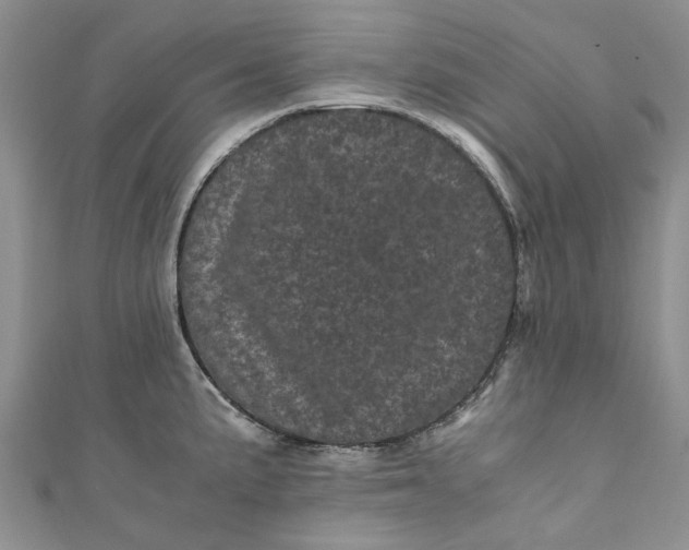 X0000110871191200907021430