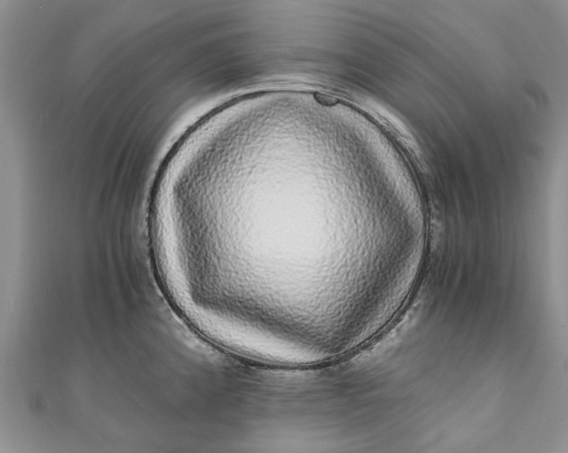 X0000110871192200907021430