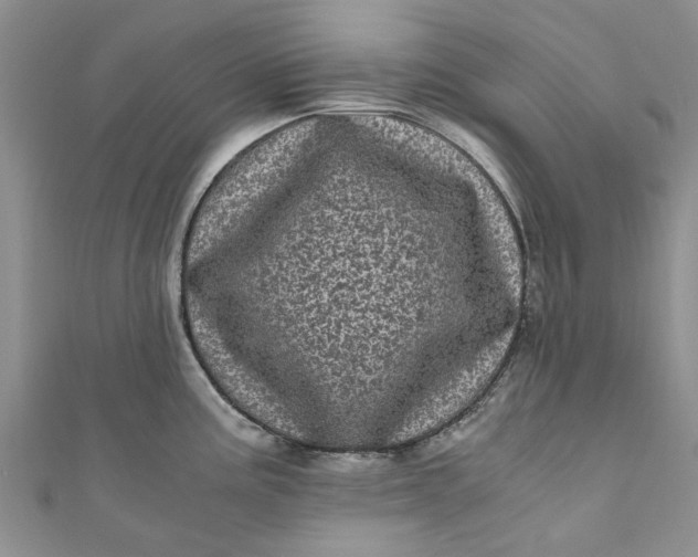 X0000110871195200907021430