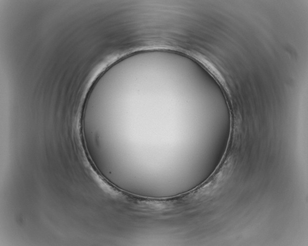 X0000110871197200907021430