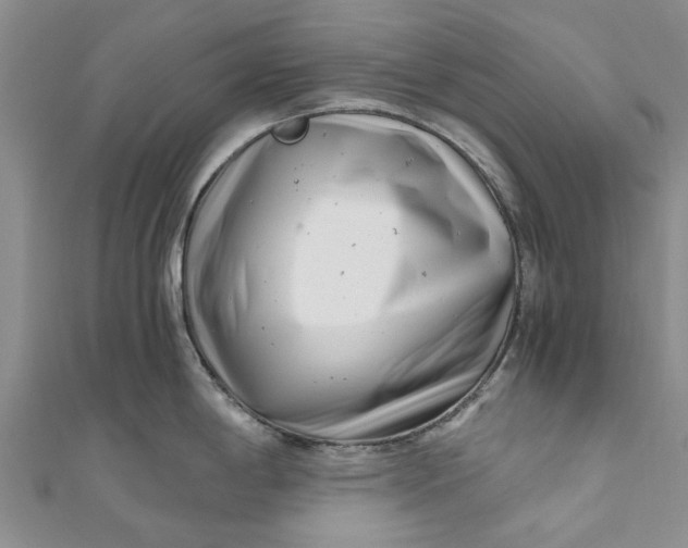 X0000110871198200907021430