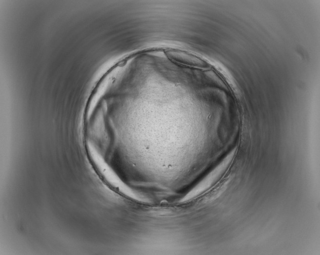 X0000110871199200907021430