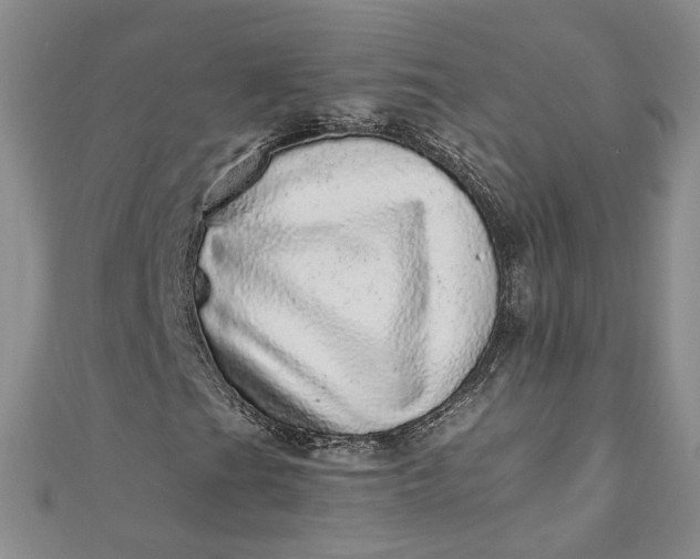 X0000110871201200907021429