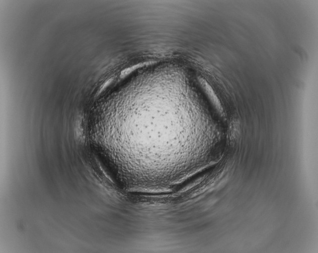 X0000110871202200907021429