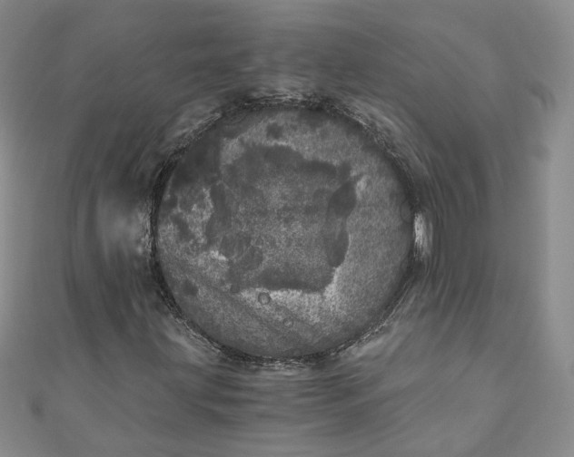 X0000110871203200907021429