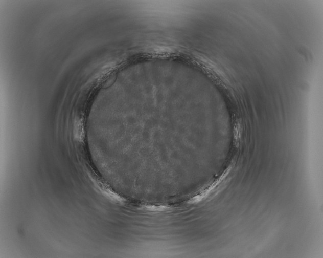 X0000110871204200907021429