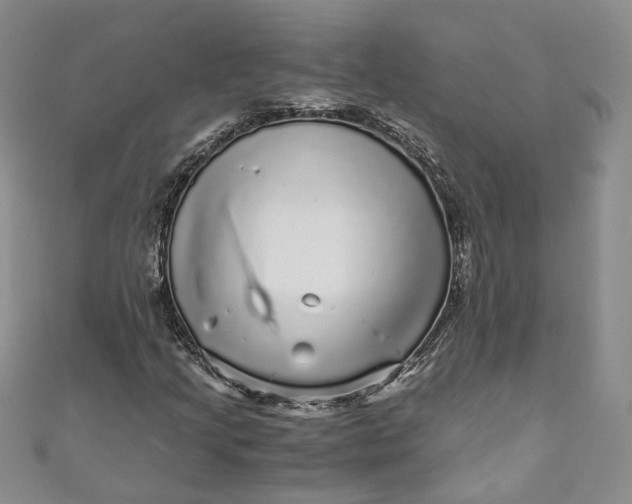 X0000110871205200907021429