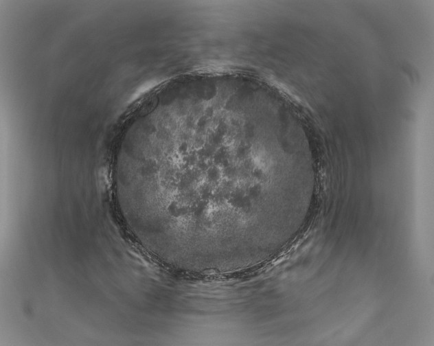 X0000110871206200907021429