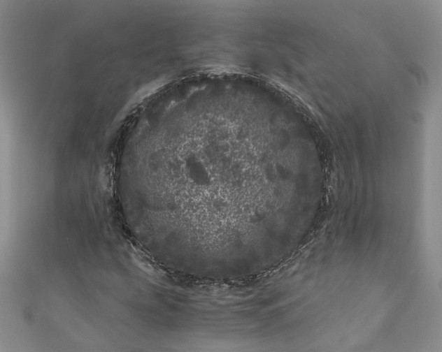 X0000110871207200907021429