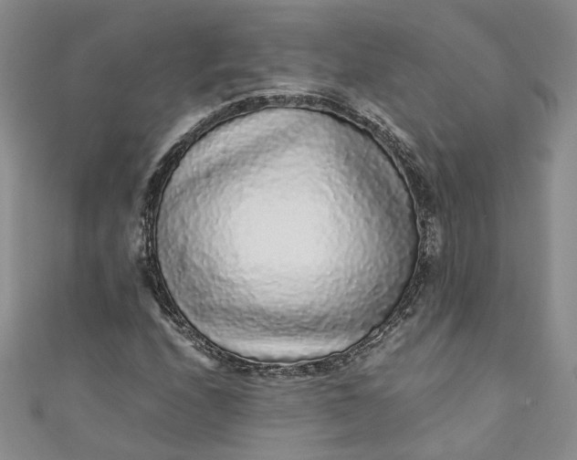 X0000110871208200907021429