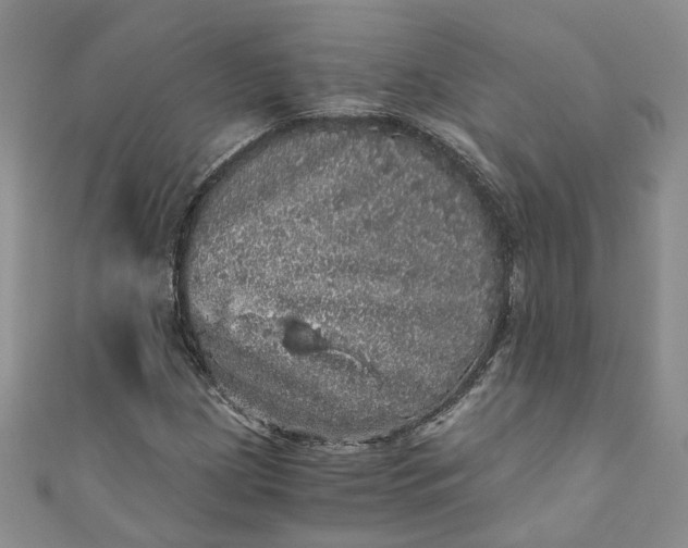 X0000110871209200907021429