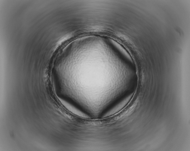 X0000110871210200907021429