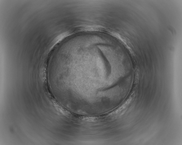 X0000110871211200907021429