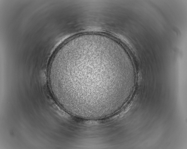 X0000110871212200907021429