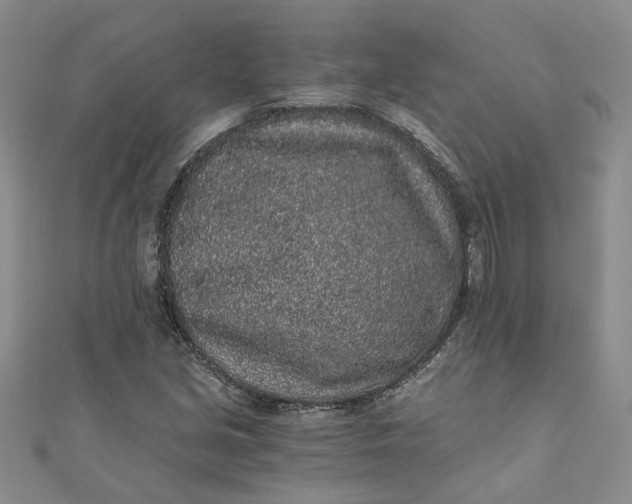 X0000110871213200907021429