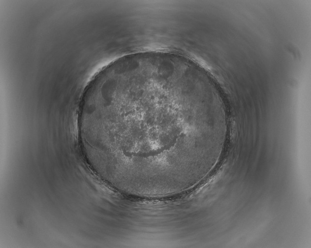 X0000110871214200907021429