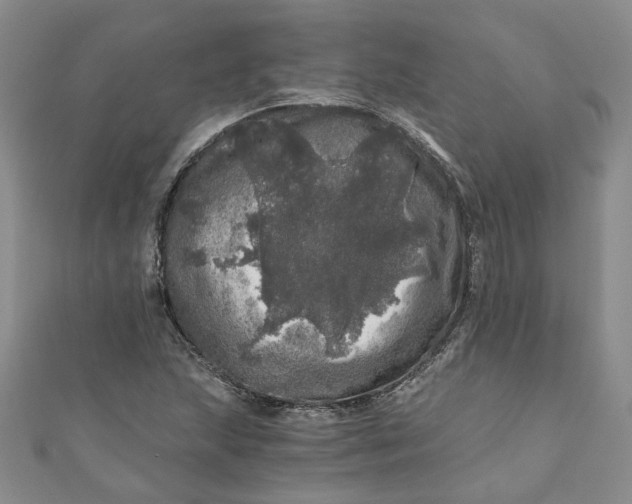 X0000110871215200907021429