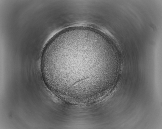 X0000110871216200907021429