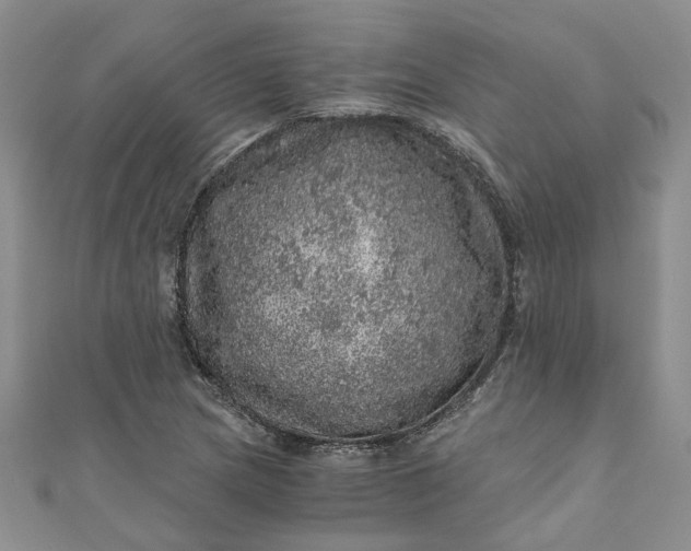 X0000110871217200907021429