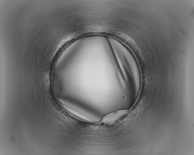 X0000110871218200907021429